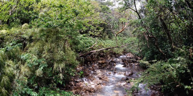 photo rivière jungle Costa Rica