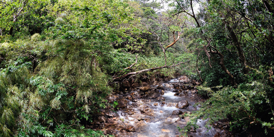 photo rivière jungle Costa Rica